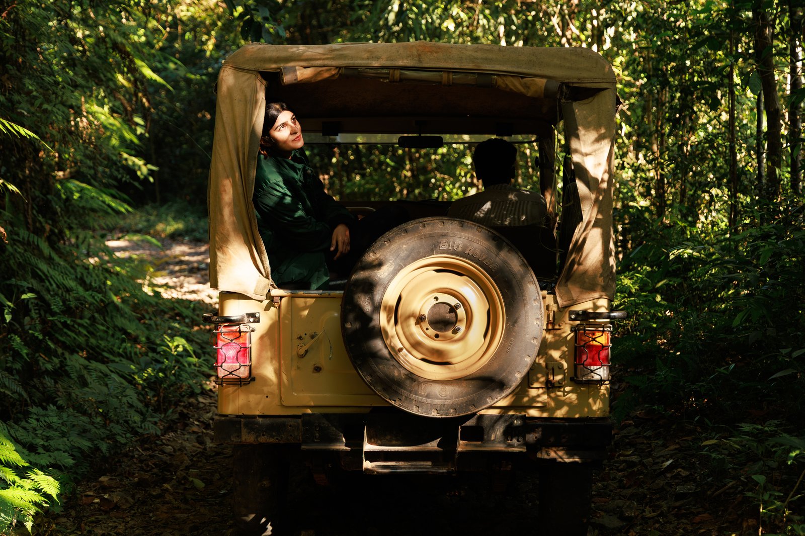 Jungle Park hero photo 6