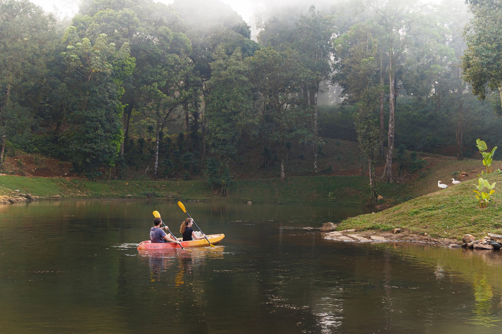 Jungle Park hero photo 8