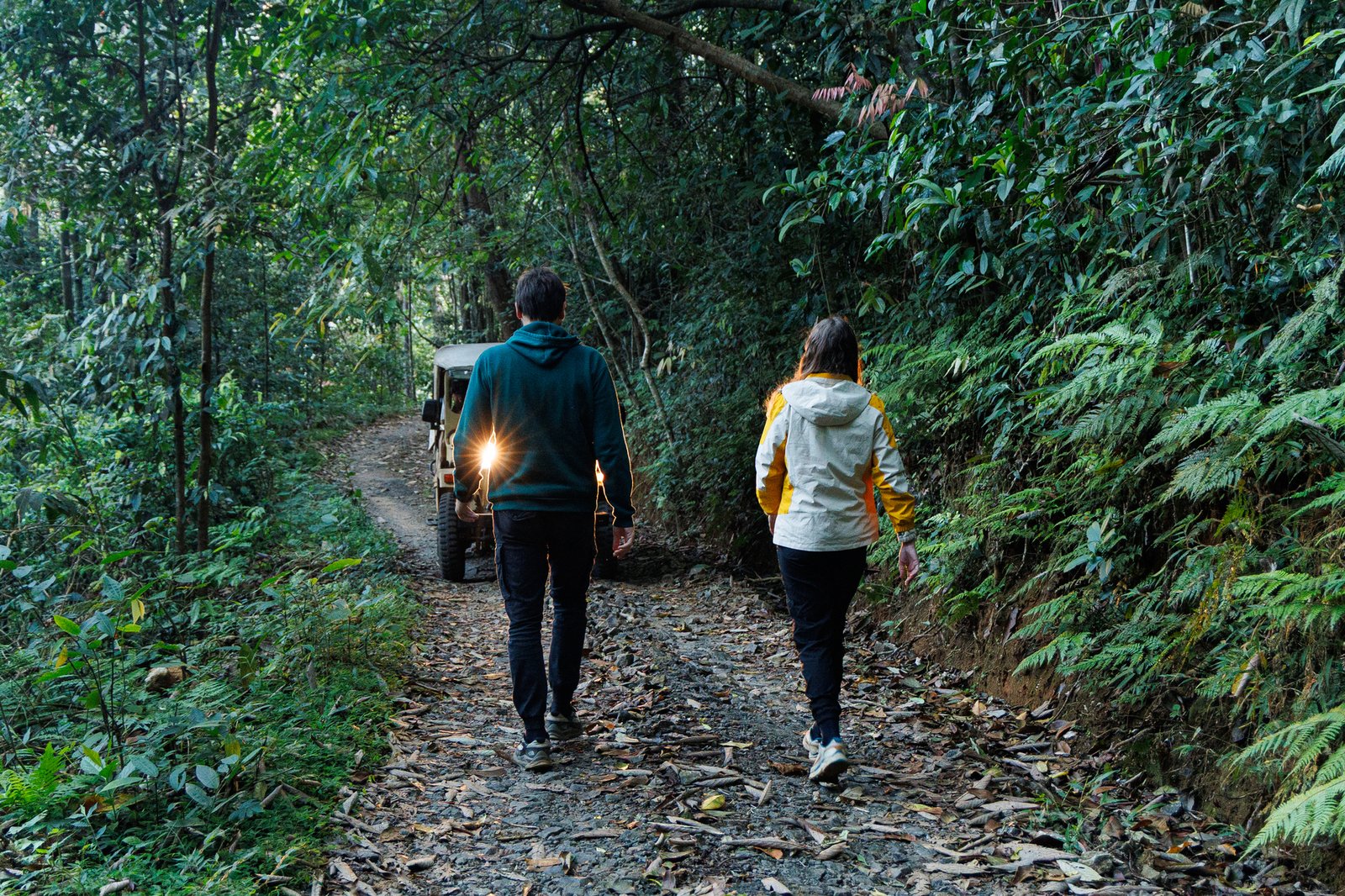 Jungle Park hero photo 9