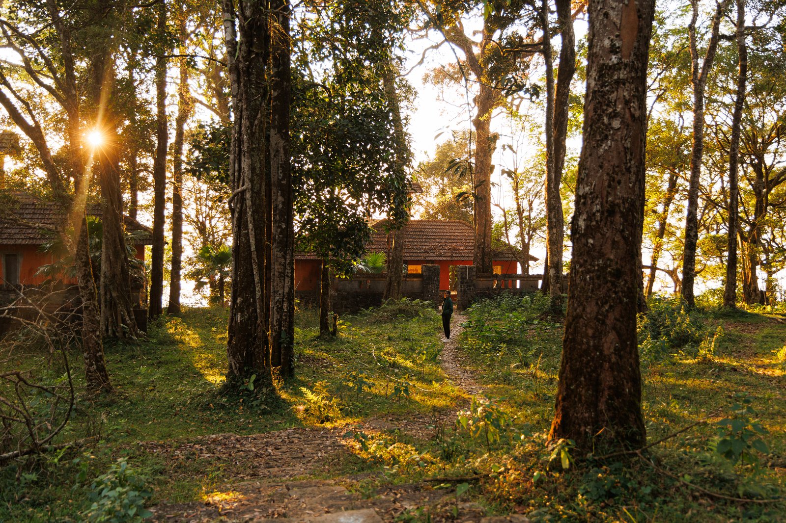 Jungle Park hero photo 15