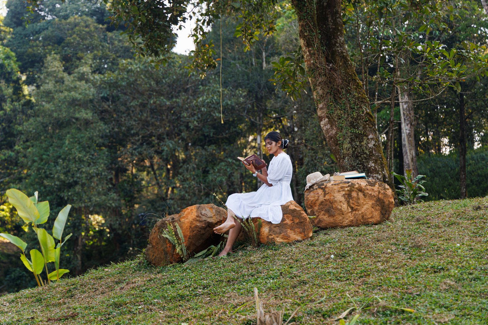 Jungle Park hero photo 16